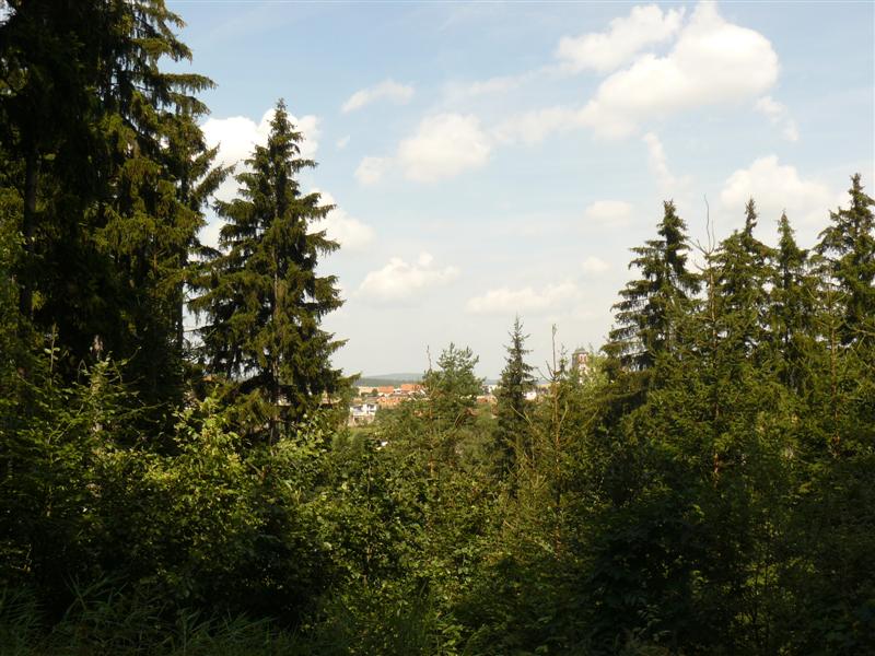 P1200206 (Medium).JPG